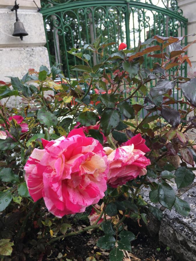 Bed and Breakfast La Valiniere Seur Екстер'єр фото